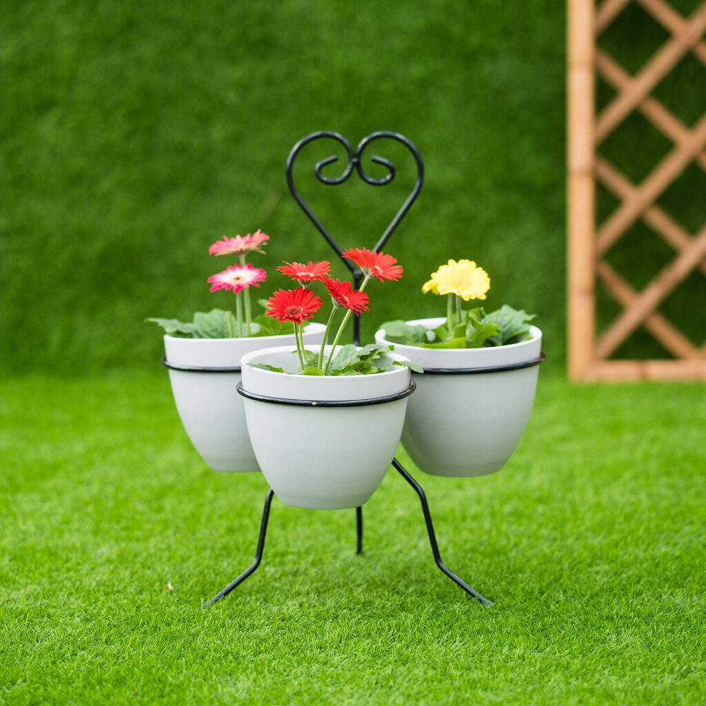 Banos Site Fytorio 31 Of 104 1024x1024