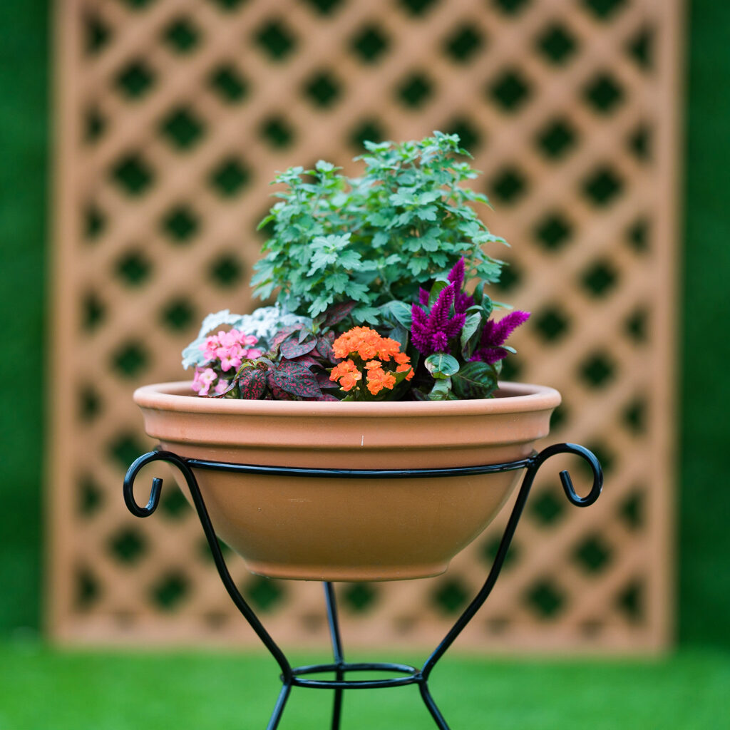 Banos Site Fytorio 68 Of 245 1024x1024